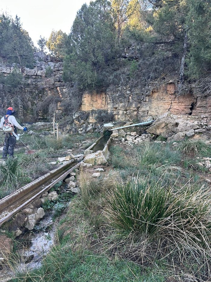 Trabajos para la mejora de hábitat en MUP Dehesa Y Centella (Soneja)
