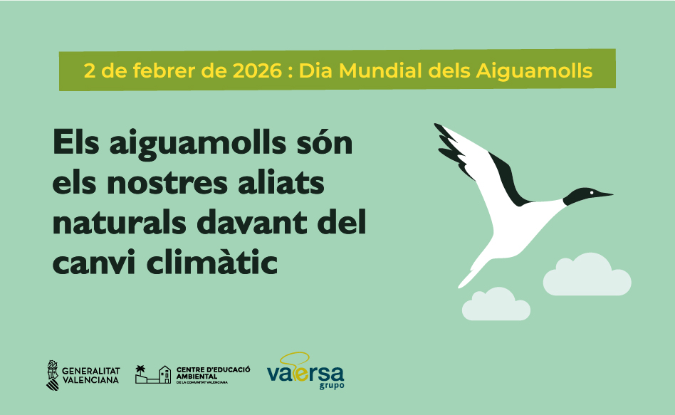 2 de Febrero de 2026: Día de los Humedales