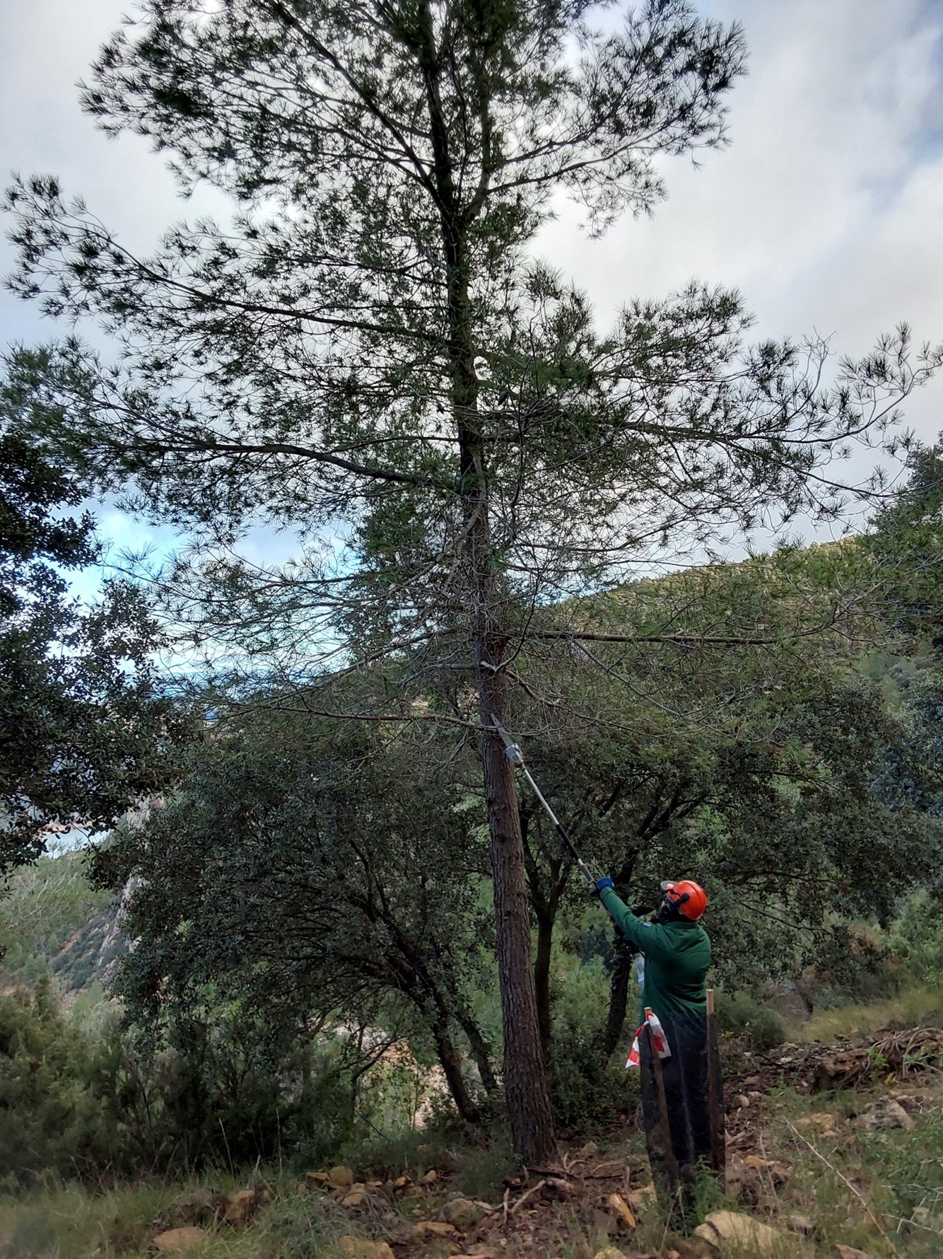 Trabajos en la MRF Fuente de la Puerca (Chera)
