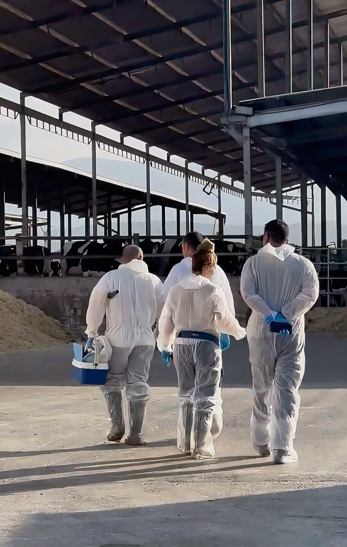 Equipo Veterinario VAERSA