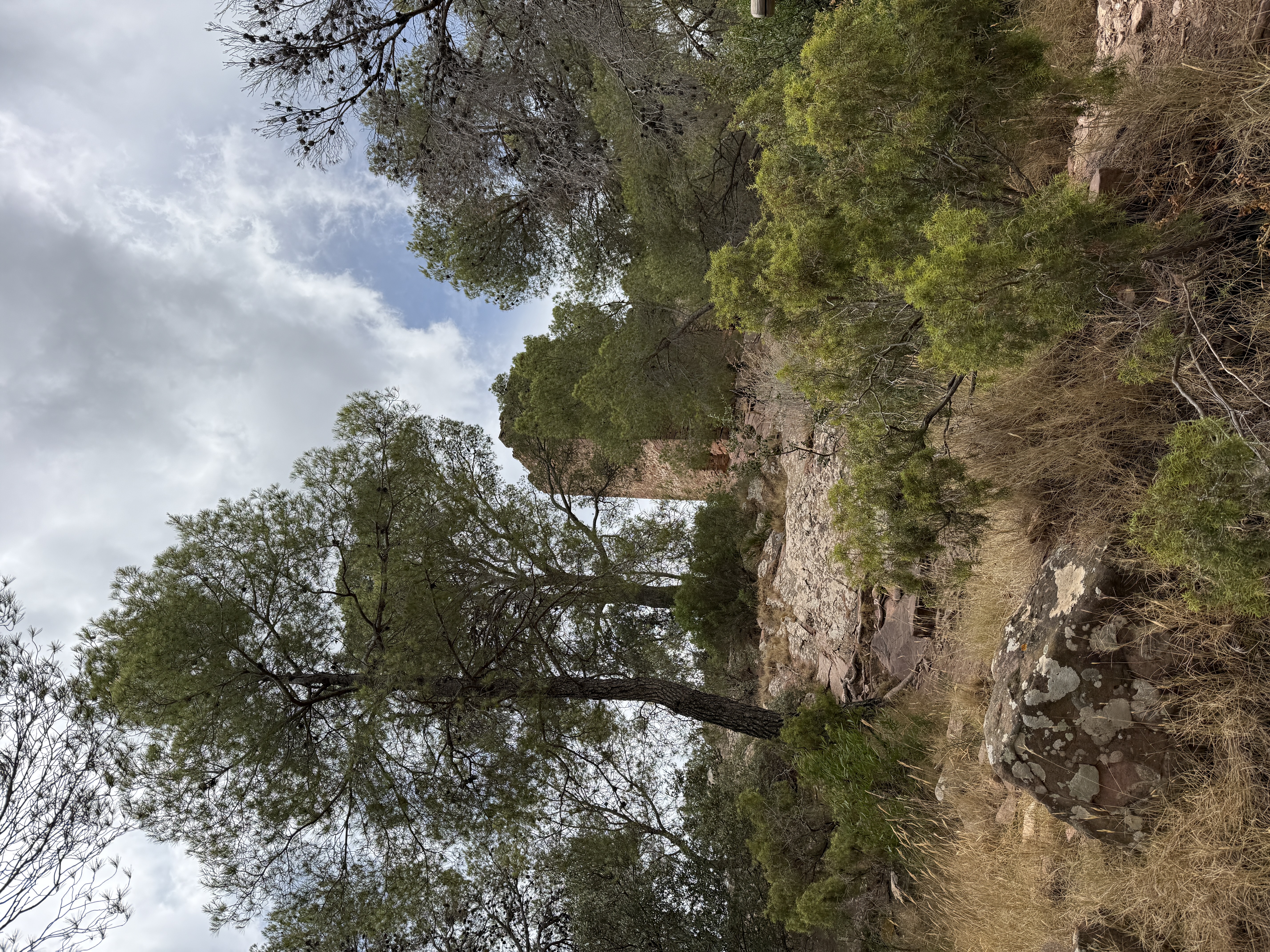 Parque Natural Serra Calderona