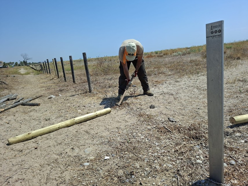 🌿🌊 Mantenimiento del vallado perimetral en la Microrreserva de Flora de la Platja d’Almenara