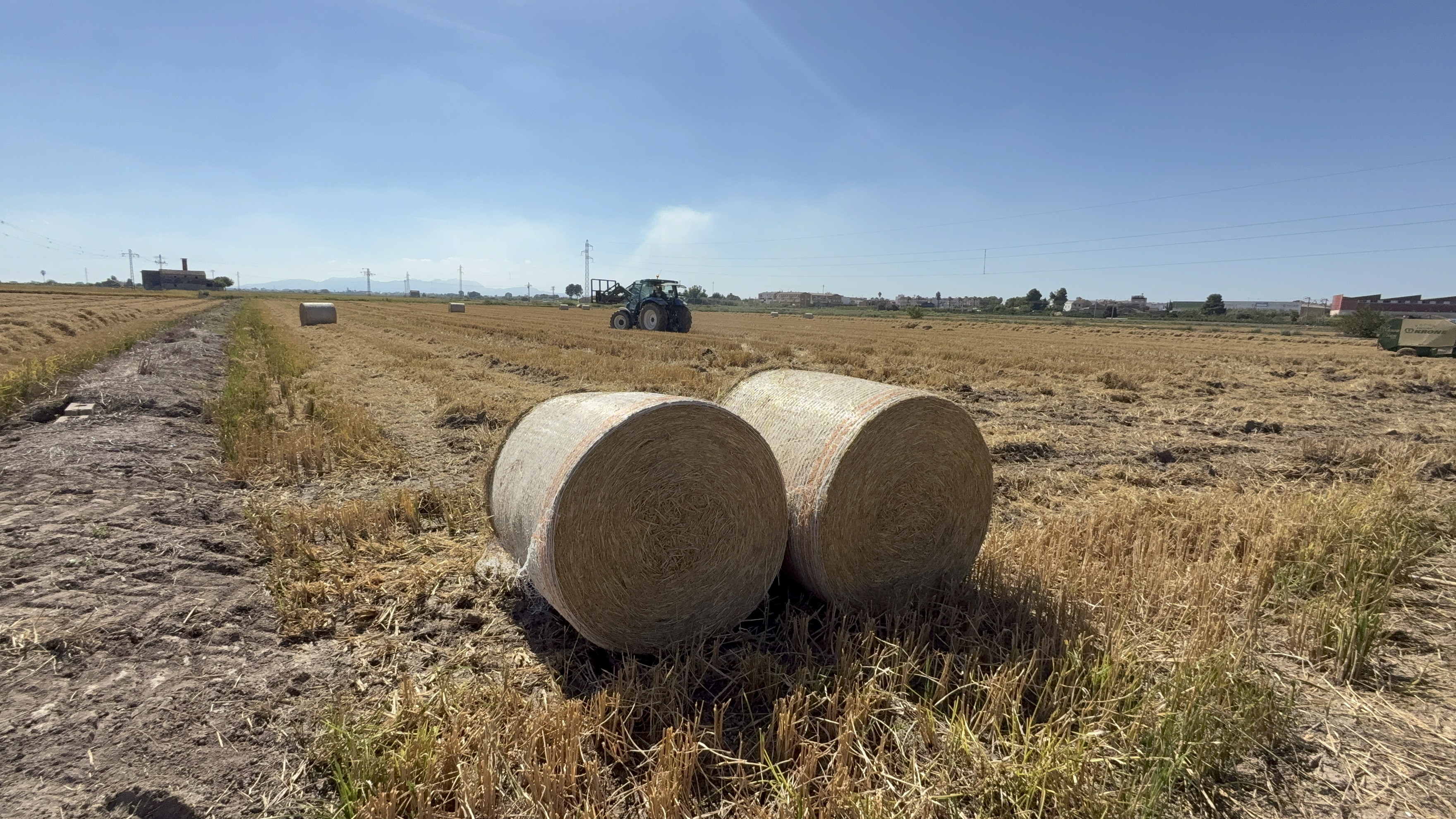 Recogida Paja del arroz Albufera, gestión Vaersa
